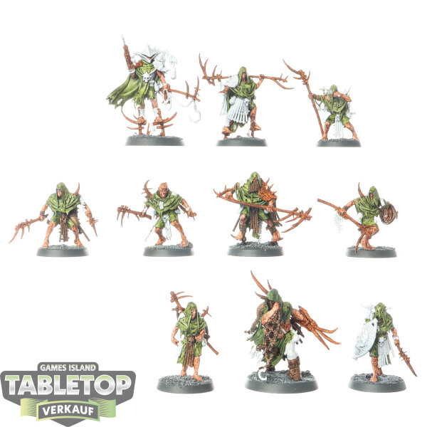 Age of Sigmar: Warcry - 10x Rotmire Creed - teilweise bemalt