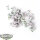 Horus Heresy - 5x Rampager Squad with Jump Packs - Bitz
