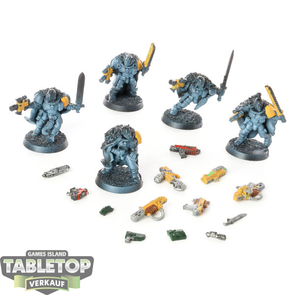 Space Wolves - 5x Scouts klassisch - teilweise bemalt