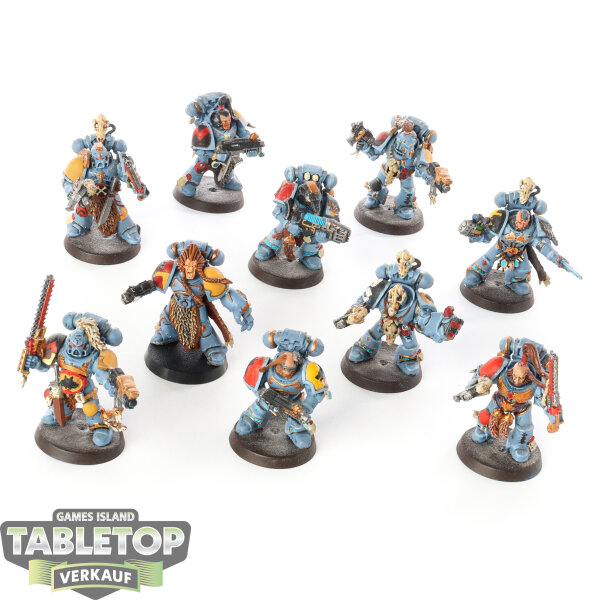 Space Wolves - 10x Grey Hunters klassisch - bemalt