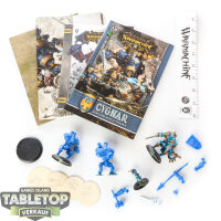 Cygnar - Cygnar Battlegroup Starter Box - teilweise gebaut