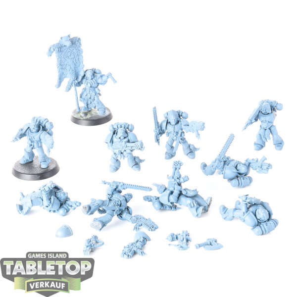 Space Wolves - 10 Grey Hunters klassisch - grundiert