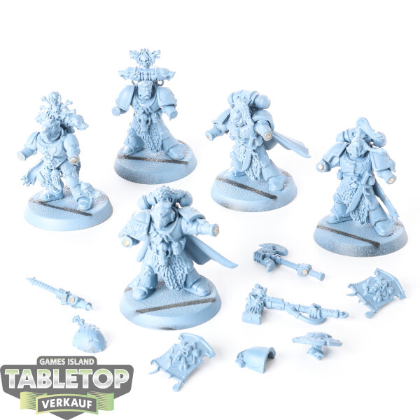 Space Wolves - 5 Grey Hunters klassisch - grundiert