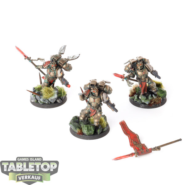Blood Angels - 3 x Sanguinary Guard - bemalt