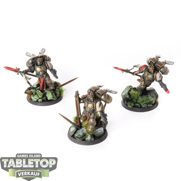 Blood Angels - 3 x Sanguinary Guard - bemalt