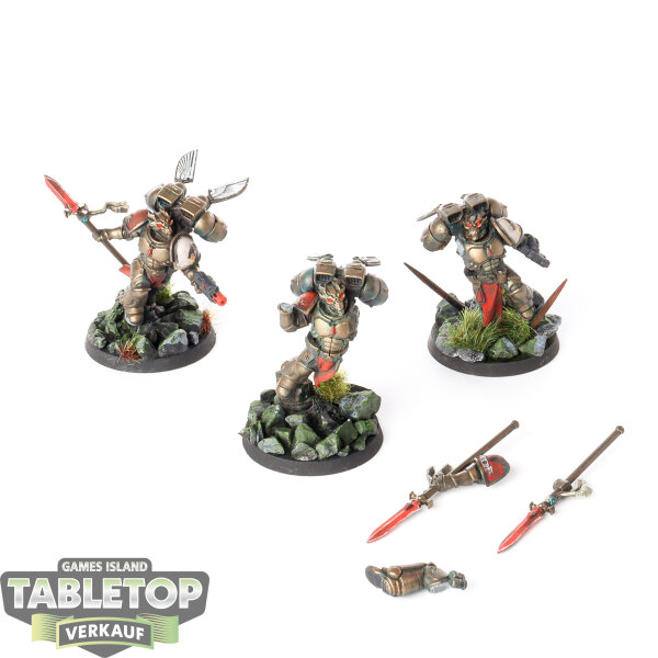 Blood Angels - 3 x Sanguinary Guard - bemalt