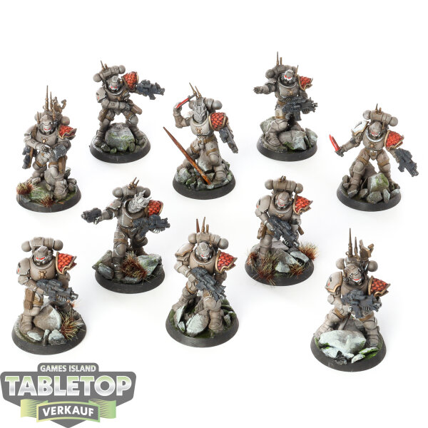 Space Marines - 10 x Infiltrator Squad - bemalt
