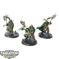 Stormcast Eternals - 3 Praetors - bemalt