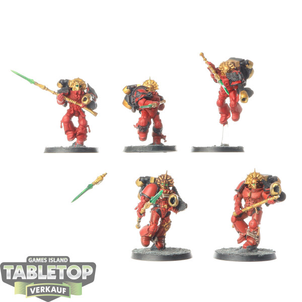 Blood Angels - 5 x Sanguinary Guard klassisch - bemalt