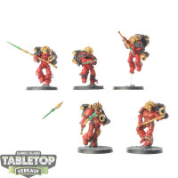 Blood Angels - 5 x Sanguinary Guard klassisch - bemalt