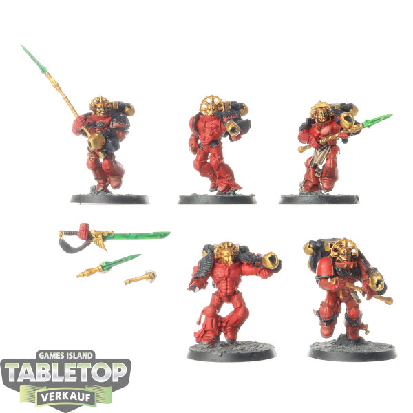 Blood Angels - 5 x Sanguinary Guard klassisch - bemalt