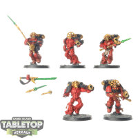 Blood Angels - 5 x Sanguinary Guard klassisch - bemalt