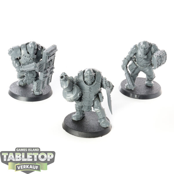 Astra Militarum - 3 Bullgryns - unbemalt
