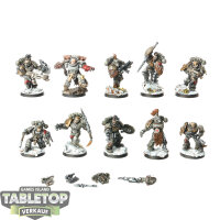 Space Wolves - 10x Grey Hunters - bemalt