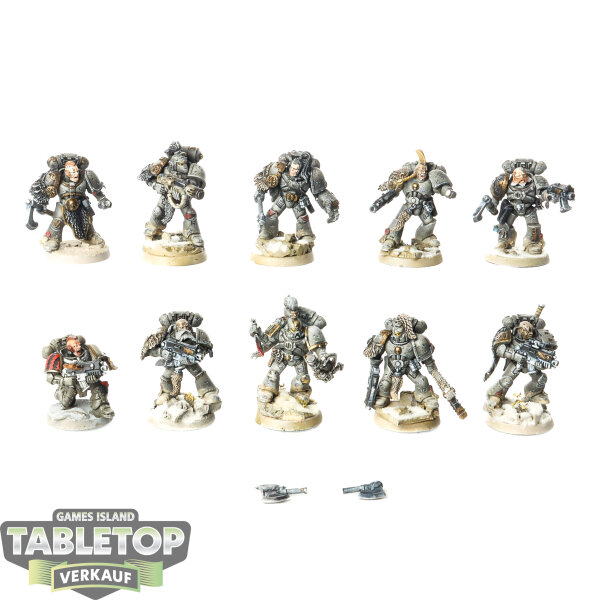 Space Wolves - 10x Grey Hunters - bemalt