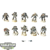 Space Wolves - 10x Grey Hunters - bemalt