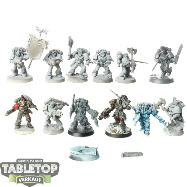 Space Wolves - 12x Grey Hunters - teilweise bemalt