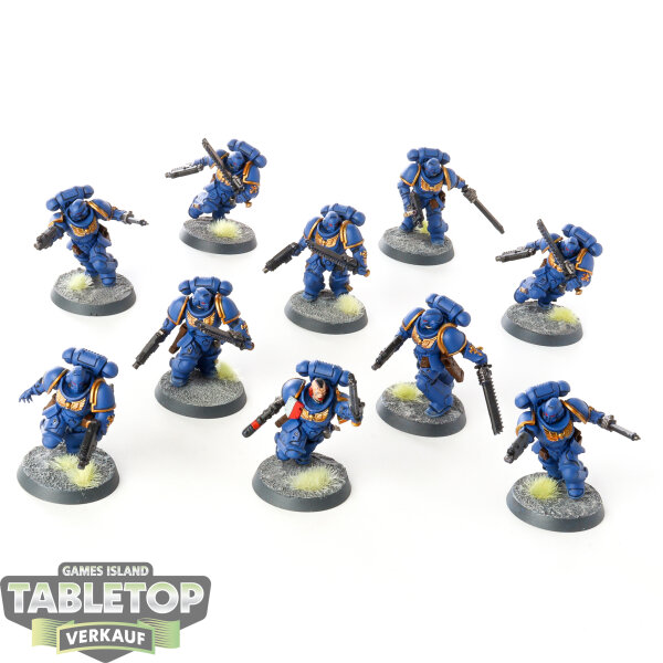 Space Marines - 10 x Assault Intercessor Squad - bemalt