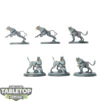 Stormcast Eternals - 6x Gryph-hounds - bemalt