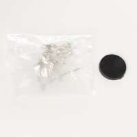 Infinity - Liang Kai - unbemalt