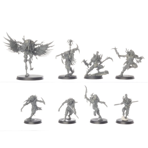 Beasts of Chaos - 8x Corvus Cabal - unbemalt