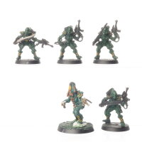 Aeldari - 5x Striking Scorpions klassisch - bemalt