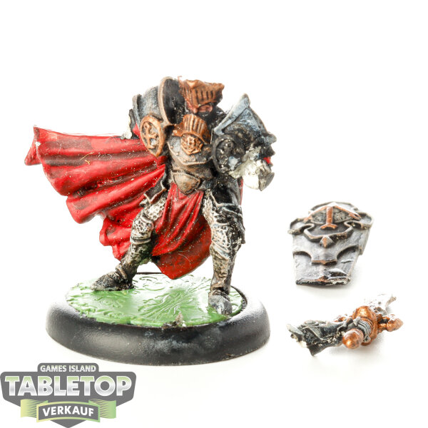 Protectorate of Menoth - Paladin of the Order of the Wall (Variant) - bemalt
