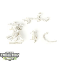 Protectorate of Menoth - Flameguard Cleanser Officer -...