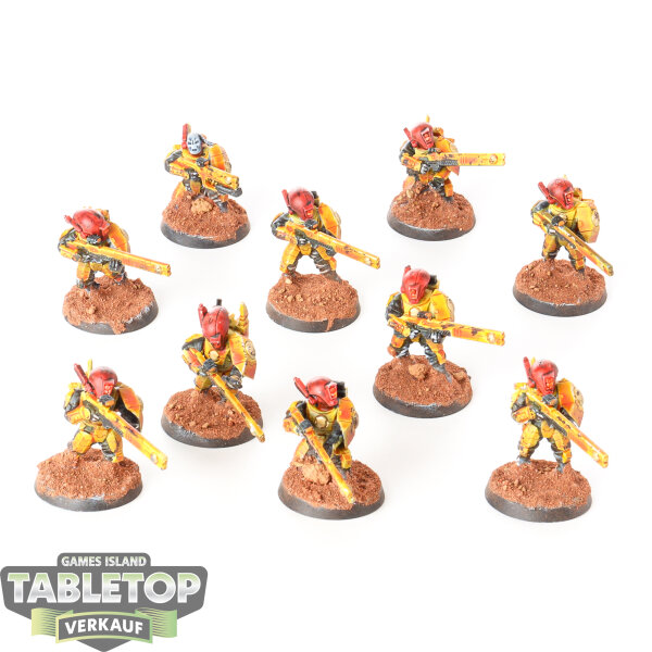 Tau Empire - 10x Fire Warriors Strike Team - bemalt