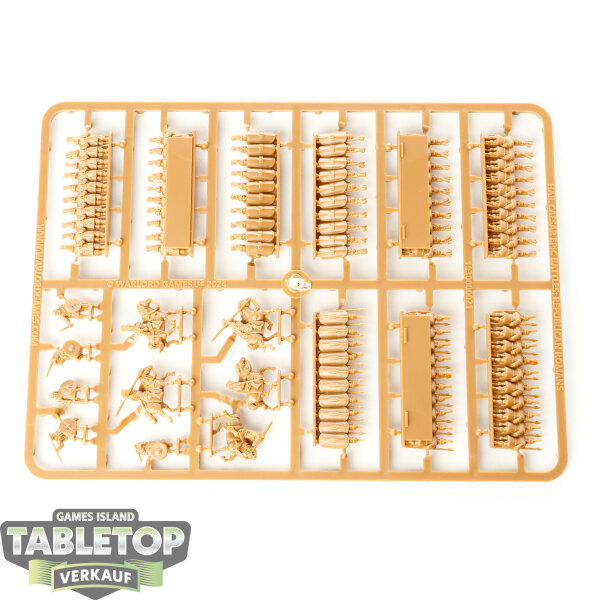 Hail Caesar - Epic Battles: Republican Romans - im Gussrahmen