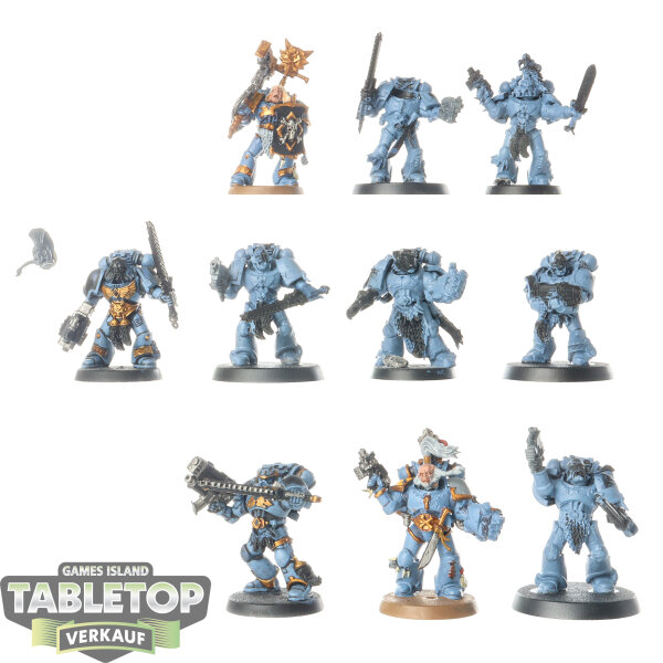 Space Wolves - 10 Grey Hunters - teilweise bemalt