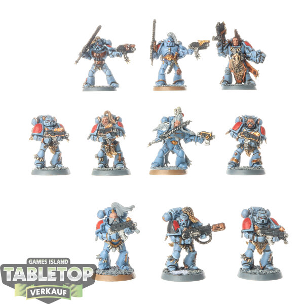Space Wolves - 10 Grey Hunters - teilweise bemalt