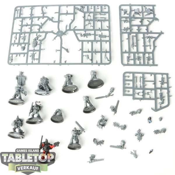Space Wolves - 10 Grey Hunters - teilweise bemalt
