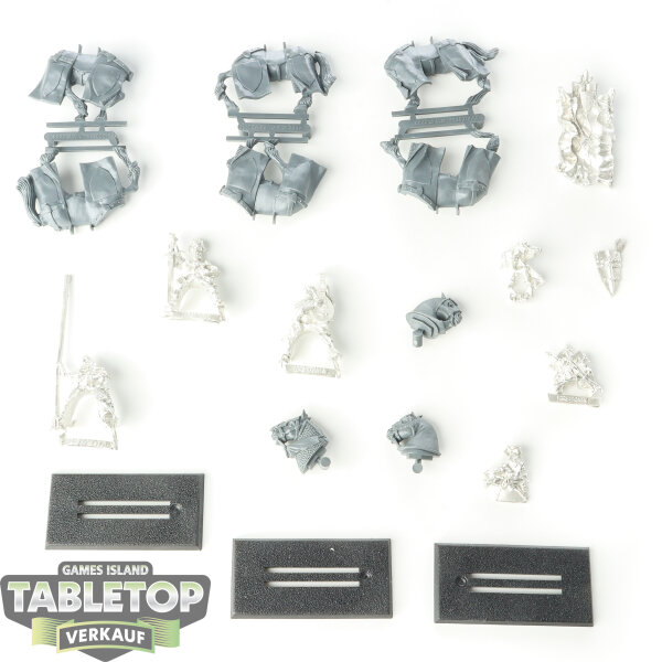 Kingdom of Bretonnia - 3 Bretonnian Questing Knights Command - im Gussrahmen