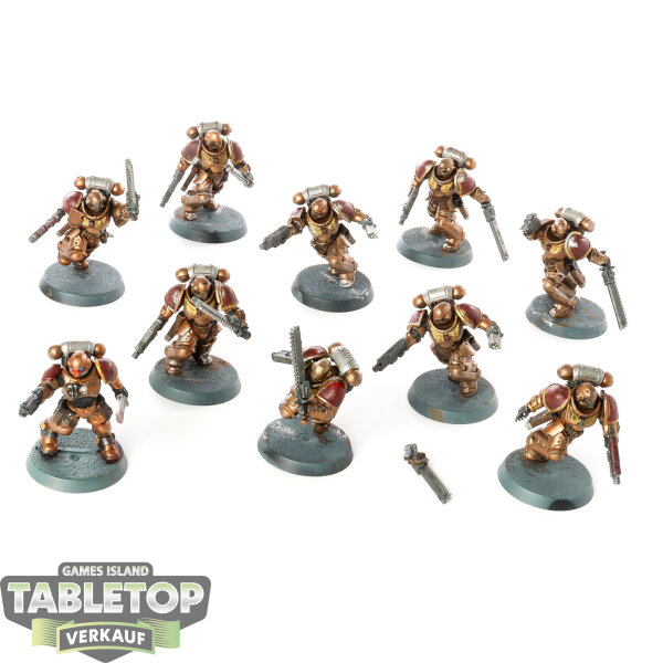 Space Marines - 10 x Assault Intercessor Squad - bemalt