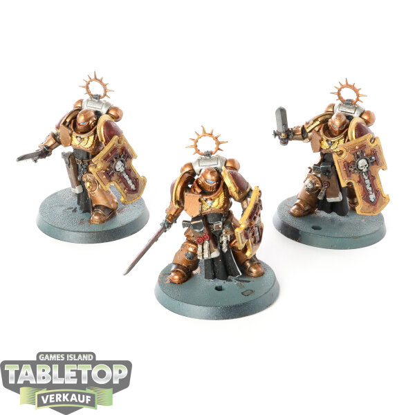 Space Marines - 3 x Bladeguard Veteran Squad - bemalt