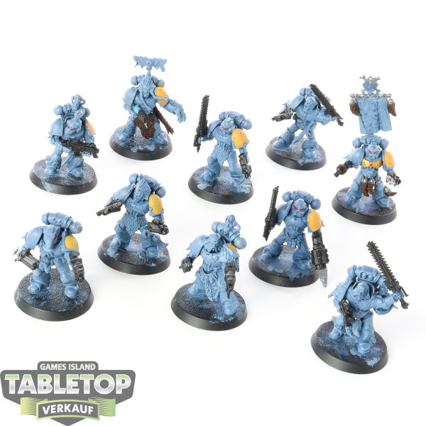 Space Wolves - 10 x Grey Hunters klassisch - teilweise bemalt