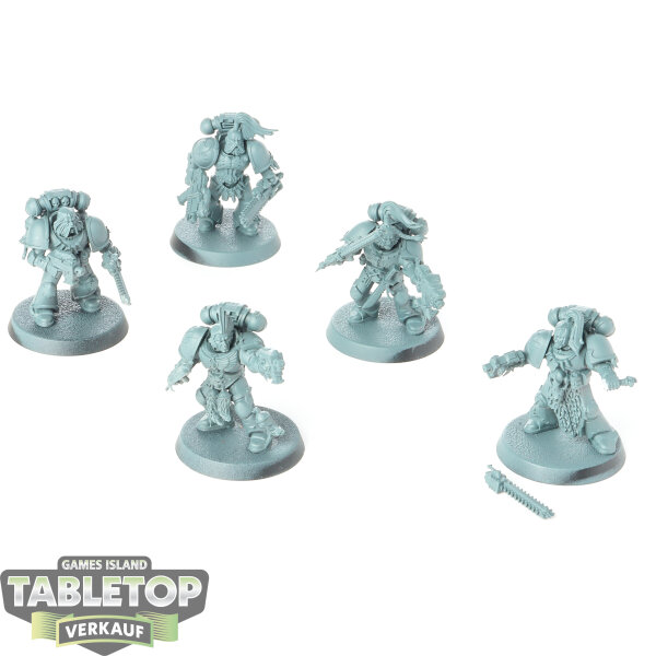 Horus Heresy - 5x Grey Hunters klassisch - grundiert