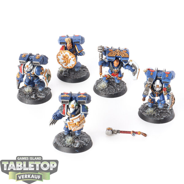 Space Marines - 5x Vanguard Veteran Squad - bemalt