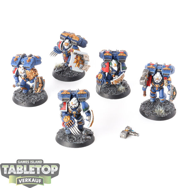 Space Marines - 5x Vanguard Veteran Squad - bemalt