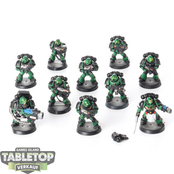 Salamanders - 10 x Tactical Squad klassisch - bemalt