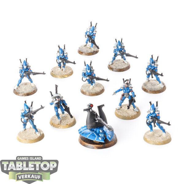 Aeldari - 10 x Guardian Defenders - bemalt