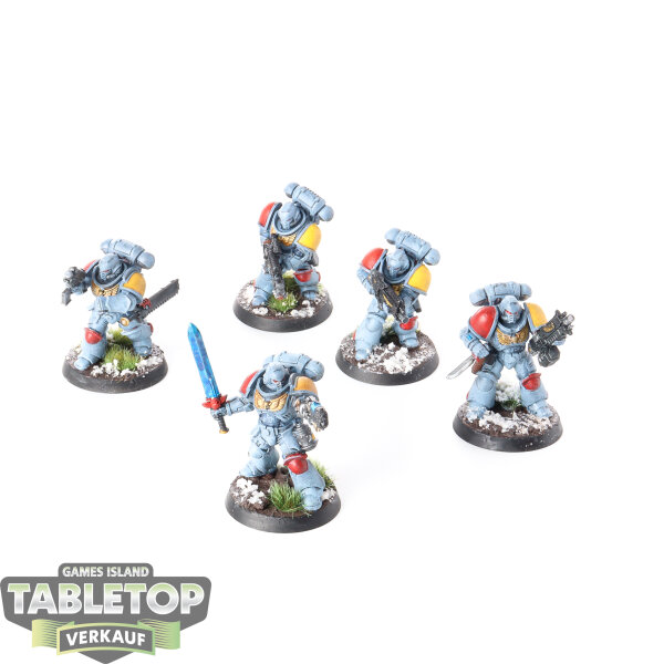 Space Marines - 5 x Intercessors - bemalt