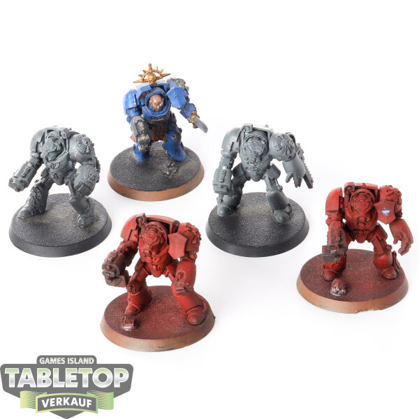 Space Marines - 5 Terminator Squad classic - teilweise bemalt