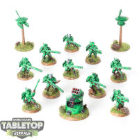 Tau Empire - 10x Fire Warriors Strike Team - bemalt