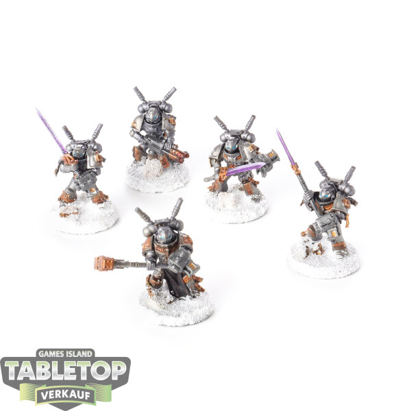 Grey Knights - 5x Grey Knights Interceptor Squad - bemalt