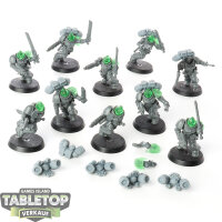 Blood Angels - 10 Assault Intercessor Squad - unbemalt