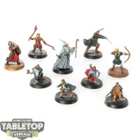 HdR Figuren - Gut - Fellowship Of The Ring - teilweise...