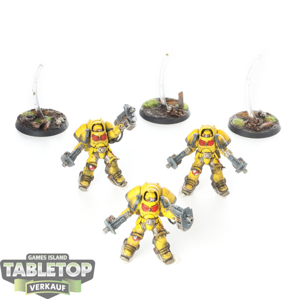 Space Marines - 3x Inceptor Squad - bemalt