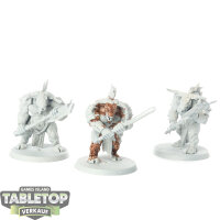 Beastmen Brayherds - 3x Minotaur Herd - teilweise bemalt